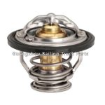 21200-6N210 21200-60J00 21200-60J11 THERMOSTAT for NISSAN