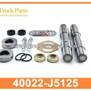 40022-J5125 king pin kit for NISSAN